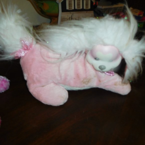 Kitty Surprise* - Picture 1 of 1